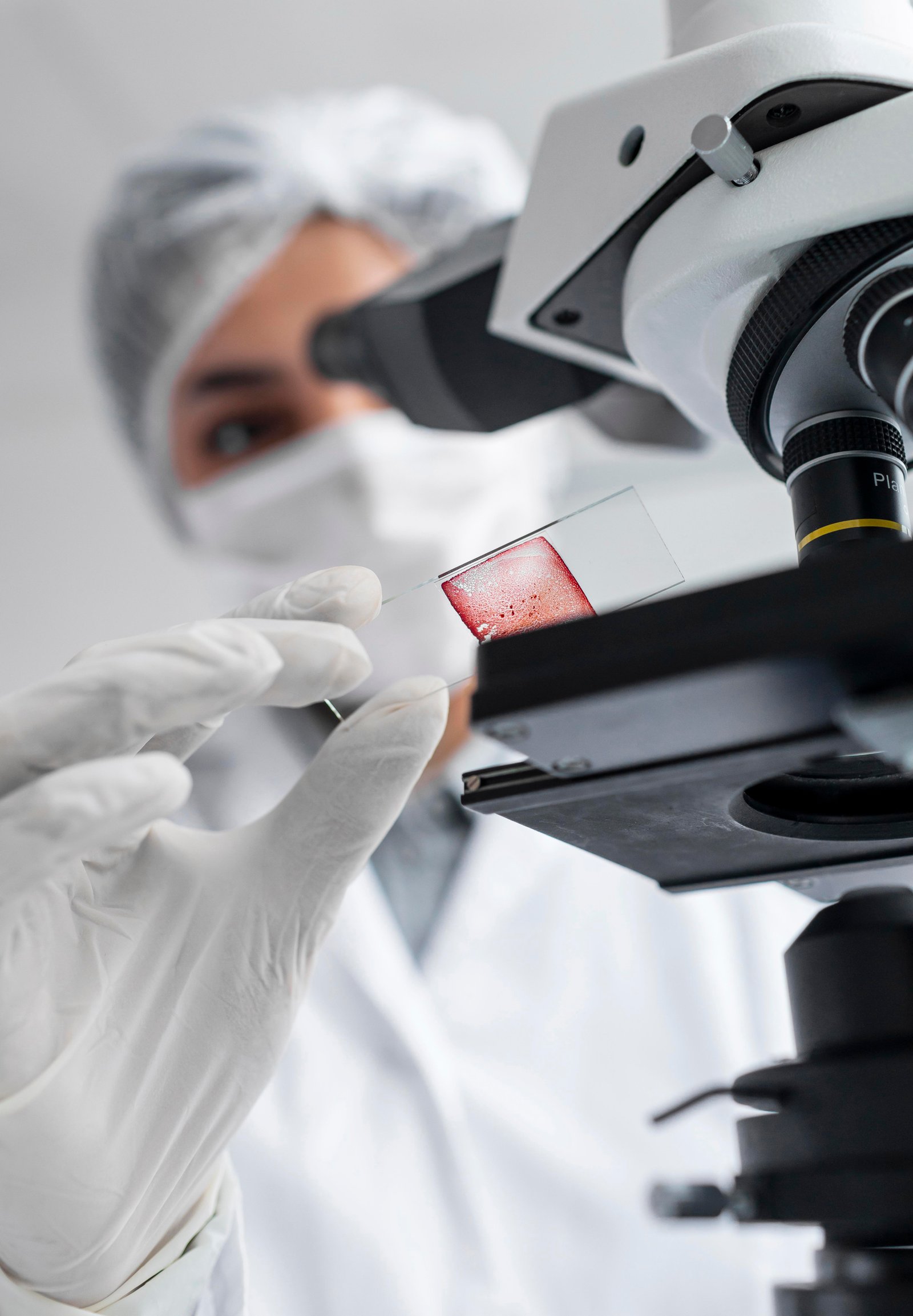 Healthcare service 2